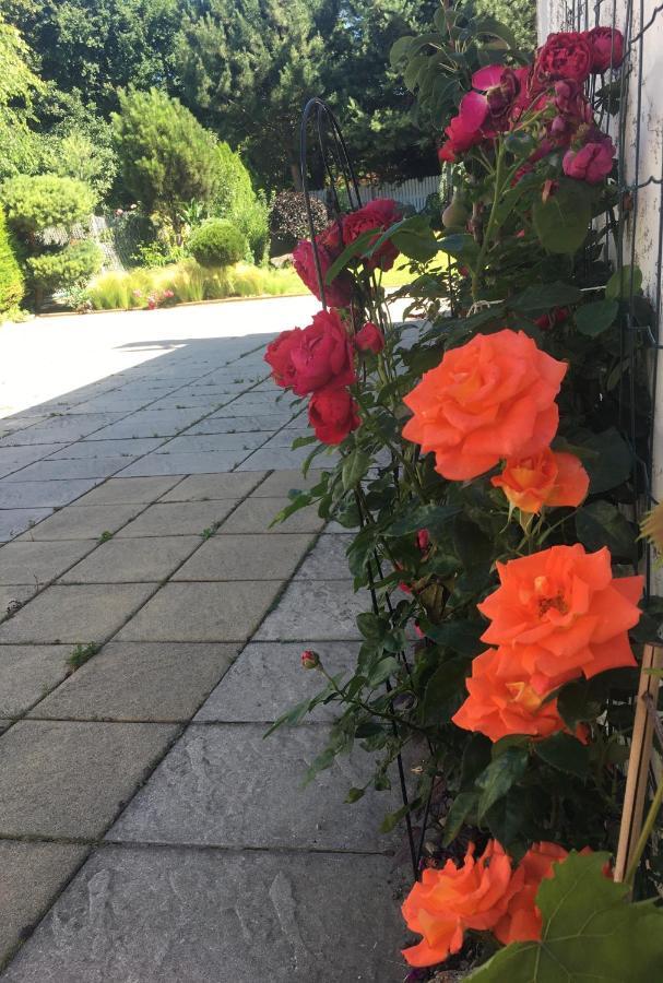 Klidne A Utulne Ubytovani Brno Stary Liskovec エクステリア 写真